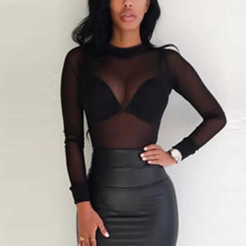 Sheer Mesh Turtleneck