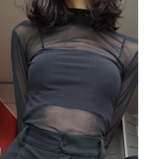 Sheer Mesh Turtleneck